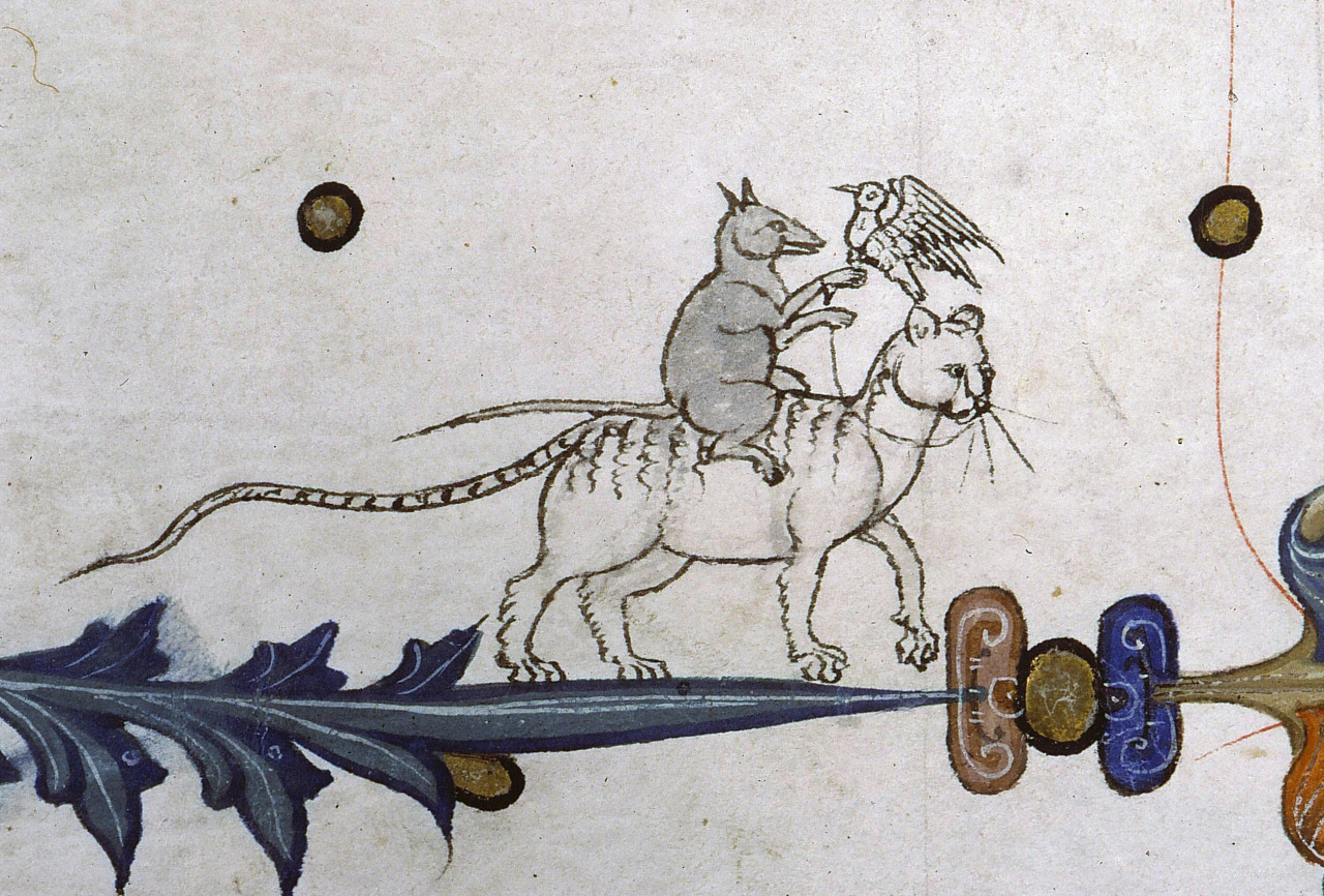 tumblr-disgarding-images-durand-avignon-voor-1390-met-rat