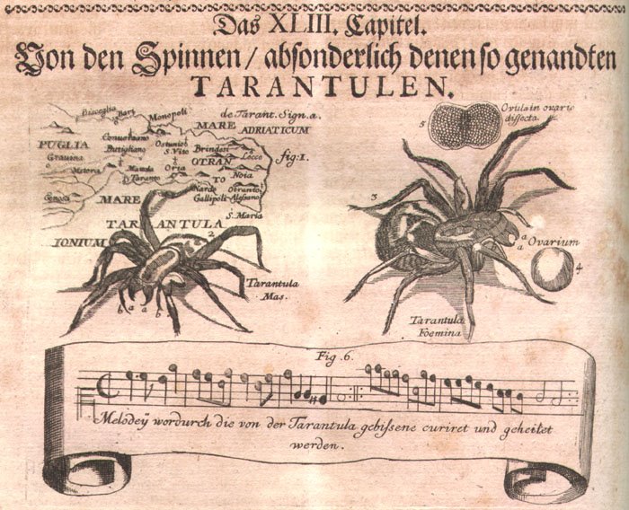 valentinus-514-tarantula-7536411