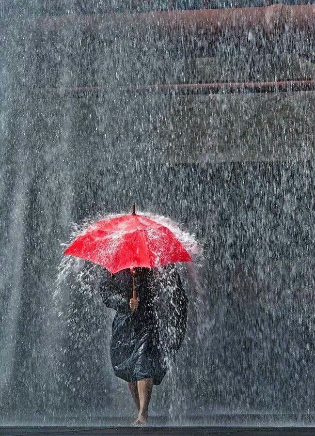 regen1