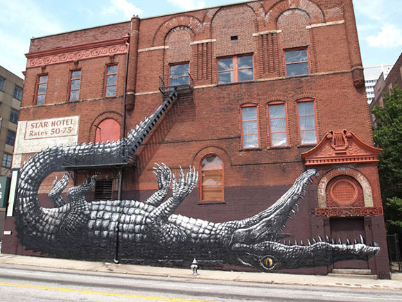 crocodile-concert