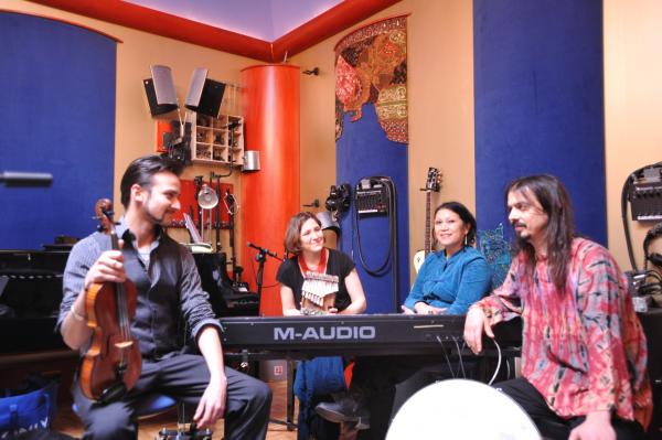 chameleon studio