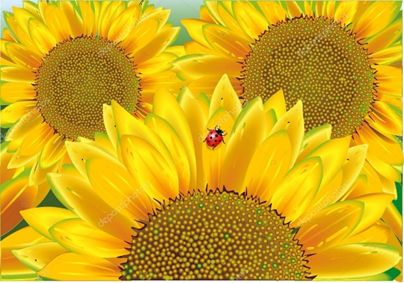Zomer