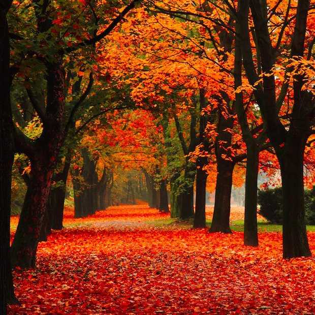 Herfst
