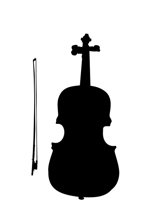 7. altviool