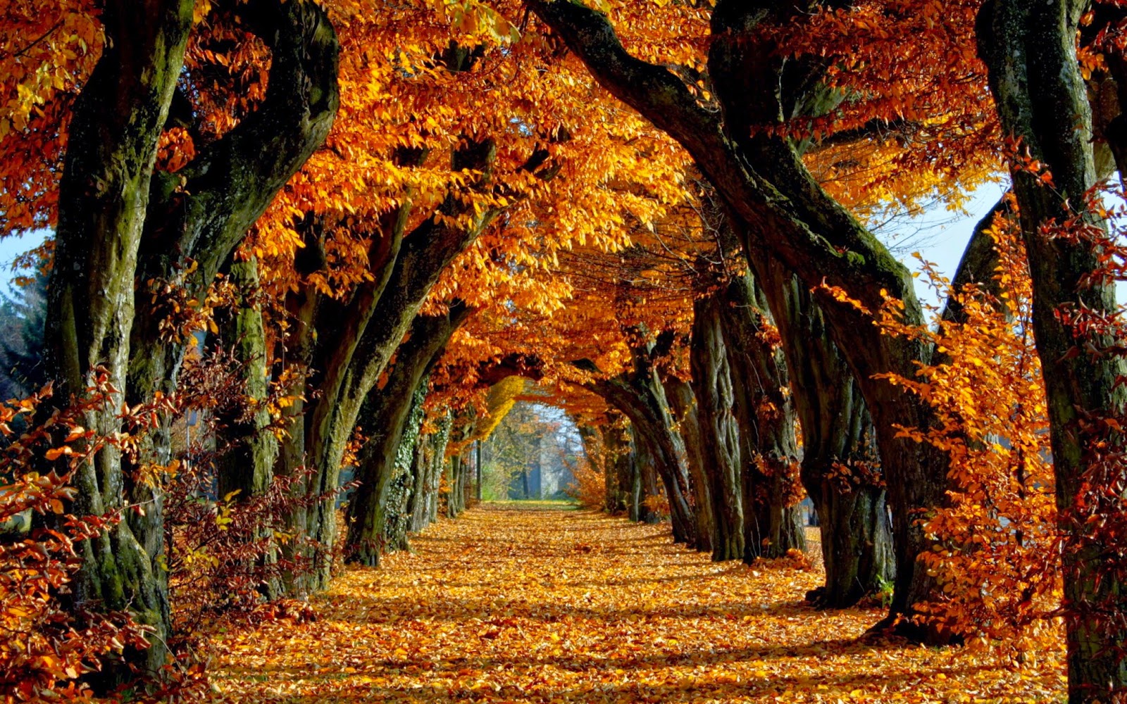 herfst-malaga