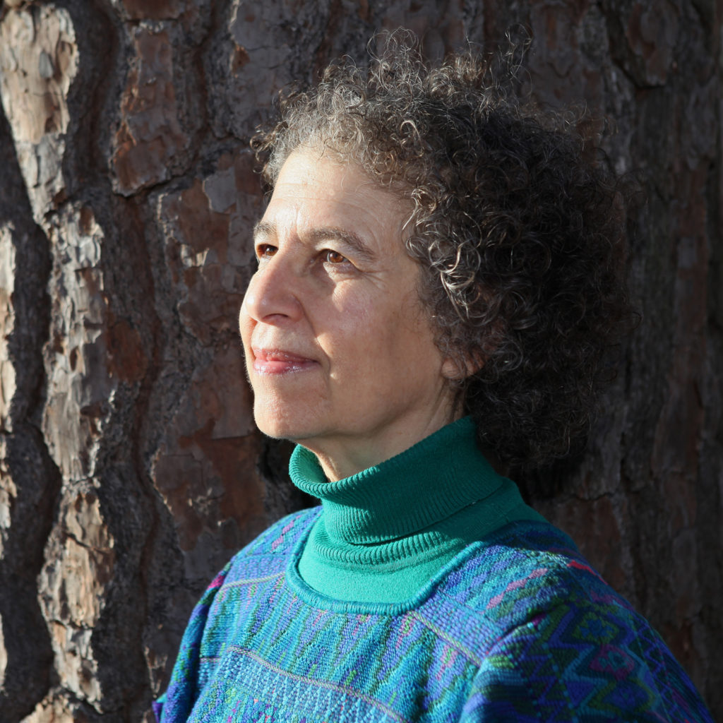 Meira-Warshauer