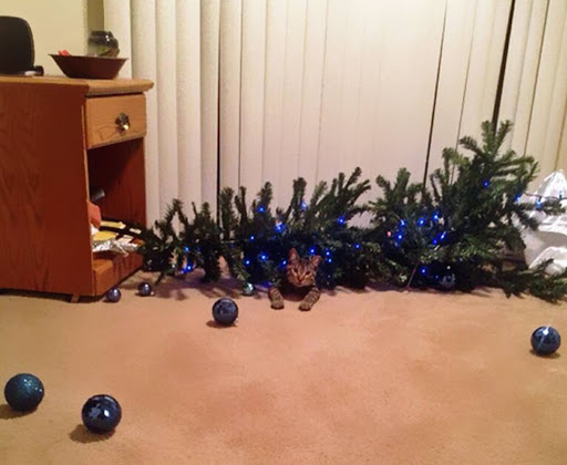 omgepleurde_kerstboom