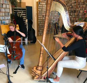 duo harp cello