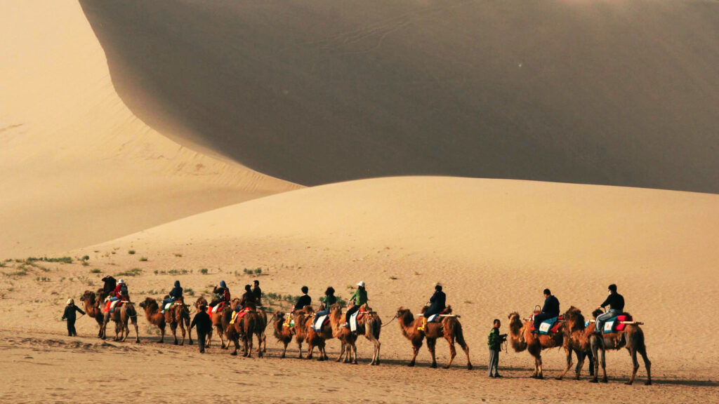 Cover-Silk Road