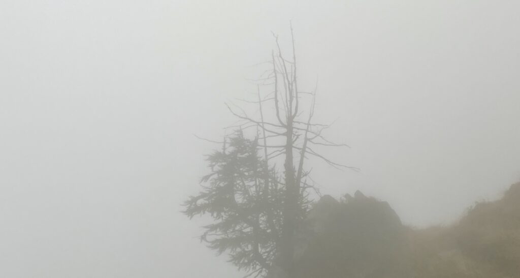 fog 2