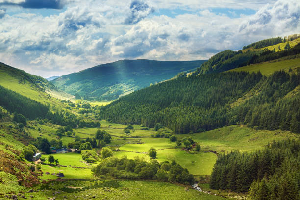 Irish landscape