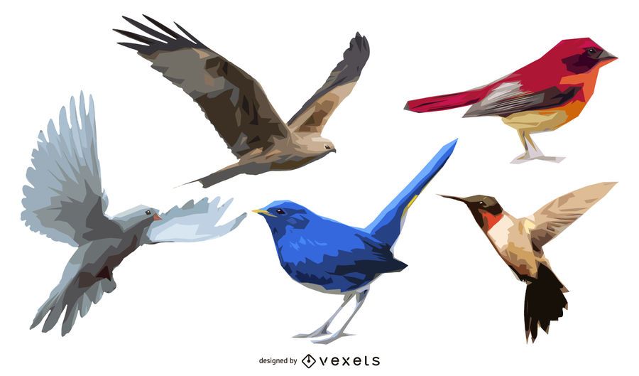vijf vogels