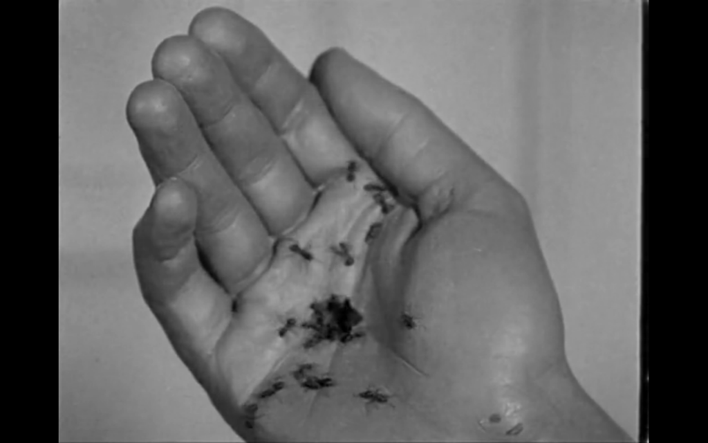 un-chien-andalou-film-1