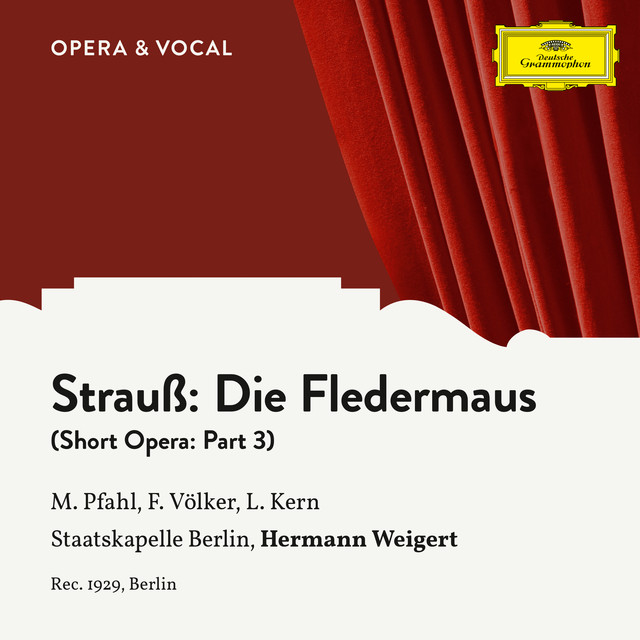 Fledermaus