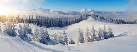 Winterlandschap