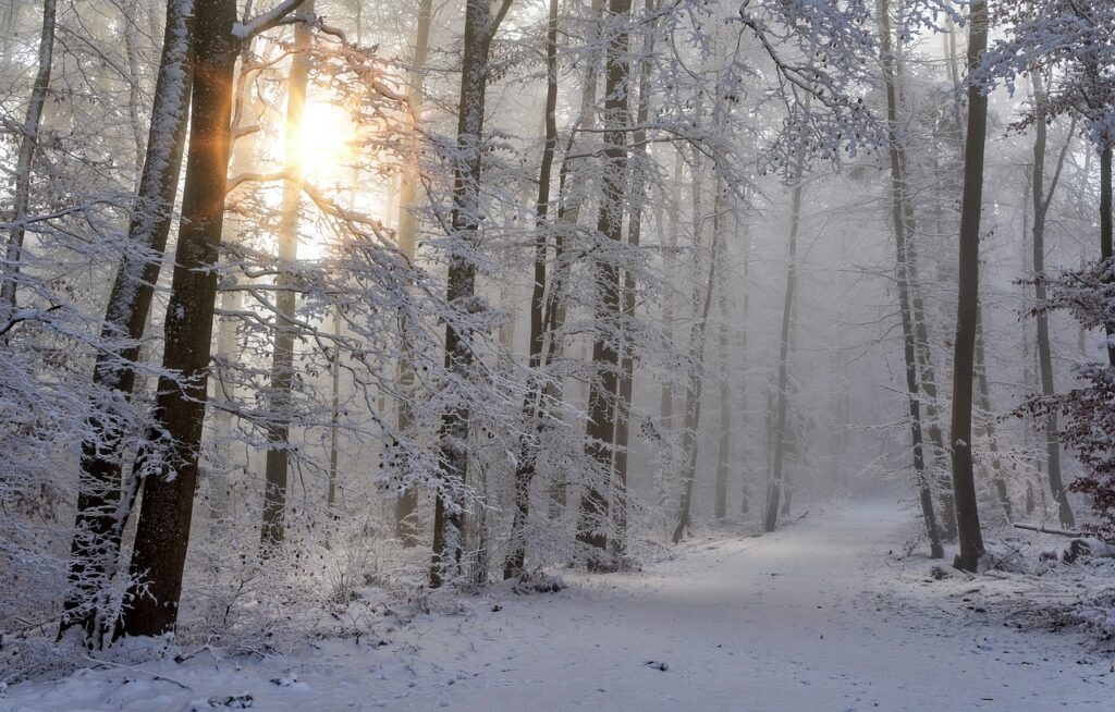 winter5