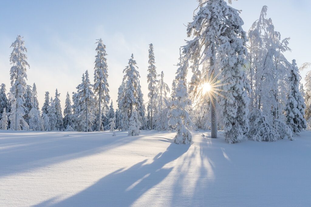 winter6