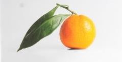Orange-uitsnede