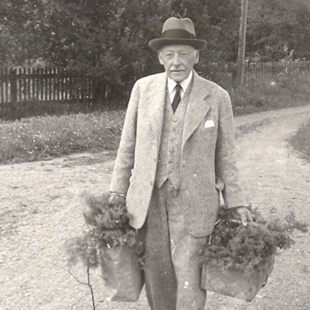 Hugo Alfvén