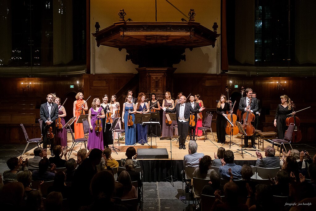 CICONIA CONSORT