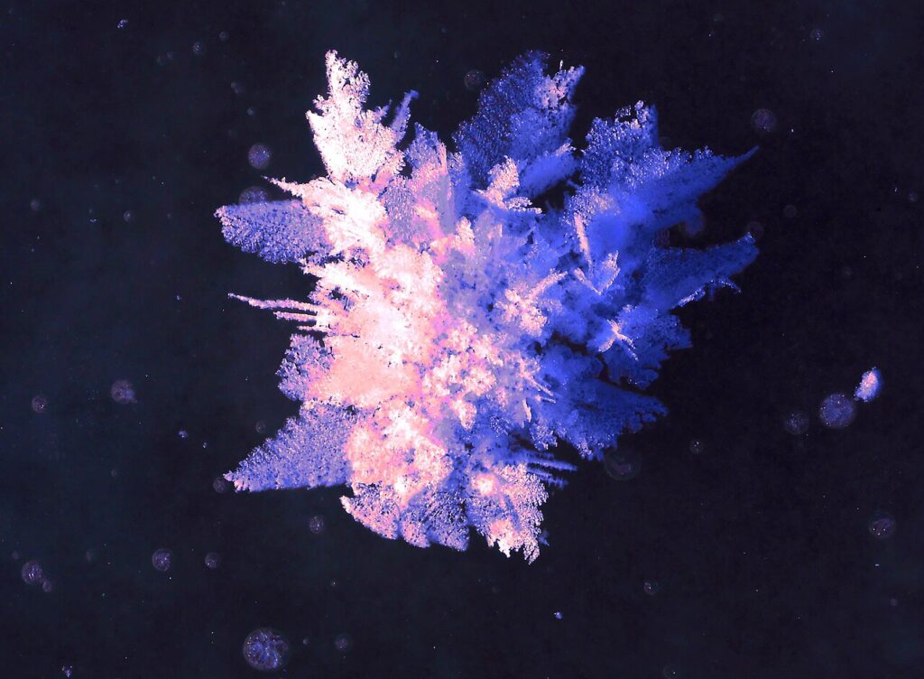 1280px-Frost_Crystal_Formation_(32064770620)